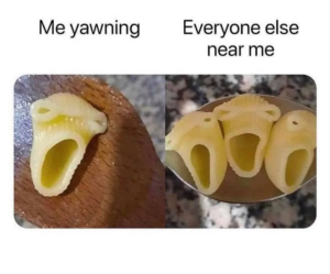 Stupid Bar Memes 1456529966793370534013809195164909999283980nbX5nsUT