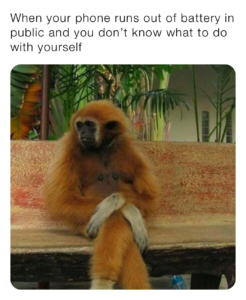 Stupid Bar Memes 14587791067884942211681076063156417120508536nsKyTjvx