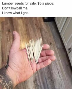 Stupid Bar Memes 172e14998cb6d9ac