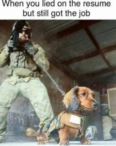 Stupid Bar Memes 183fb1e5abb64830