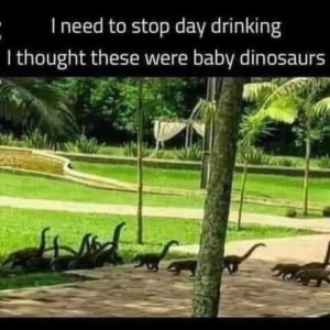 Stupid Bar Memes 187fd7fa91323876