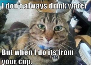 Stupid Bar Memes 1bfff3cfe49a7f62