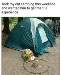 Stupid Bar Memes 1c9dfbf71fc827bf