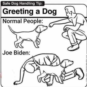 Stupid Bar Memes 1d067a0d0e7211d2
