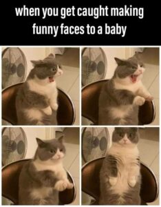 Stupid Bar Memes 1ffe271530353f19