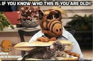 Stupid Bar Memes 2162a2945d8967ec