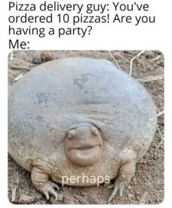 Stupid Bar Memes 21t8xpfqp9w61