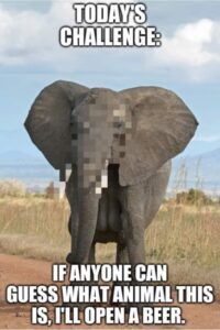 Stupid Bar Memes 2567ccbdbea9285c109ff285bd4dd0b2
