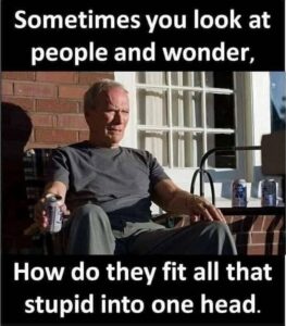 Stupid Bar Memes 289dd6c39e6e2a6b