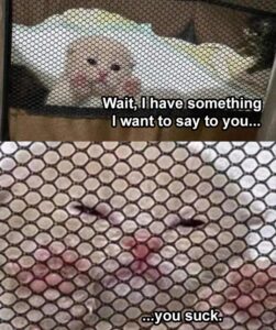 Stupid Bar Memes 2b14