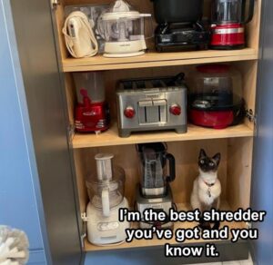 Stupid Bar Memes 2bibcanbshredbthingsbintobsmallbpiecesbtoo