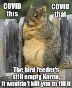 Stupid Bar Memes 2ee880ce53d92241