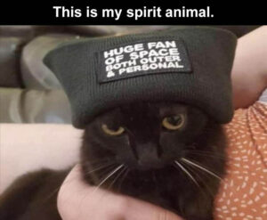 Stupid Bar Memes 2smysspiritsb