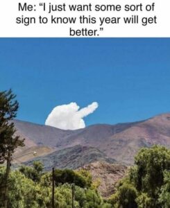 Stupid Bar Memes 31db3a81f1105208
