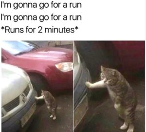 Stupid Bar Memes 35d75fcfdacb359b