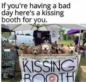 Stupid Bar Memes 3637e23b0241f82d