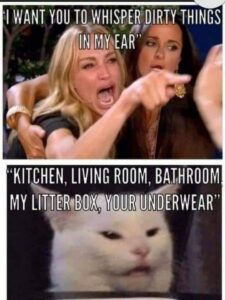 Stupid Bar Memes 3acf884ebb782bdd