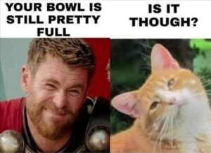 Stupid Bar Memes 3b23