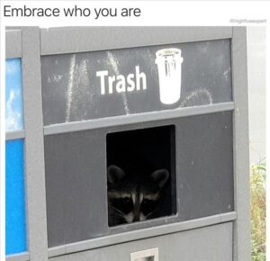 Stupid Bar Memes 3b27