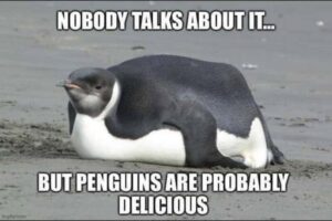 Stupid Bar Memes 3c89e353faf217a6