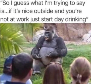 Stupid Bar Memes 3d443a01ceb0fe8c
