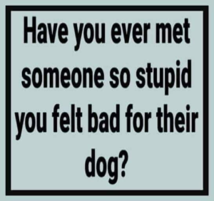 Stupid Bar Memes 3df4f8d0b3a369af