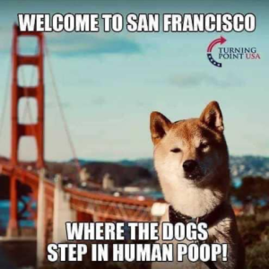 Stupid Bar Memes 426af377521ef5bc