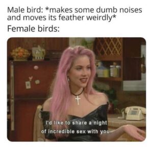 Stupid Bar Memes 43e04faa47352d81dcd7f3bfa0f7d286