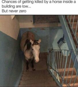 Stupid Bar Memes 454979867e92bdc6