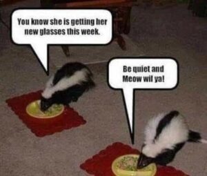 Stupid Bar Memes 4984d259c8ae5326