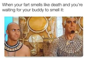 Stupid Bar Memes 4acf7c4a7ce8ac79