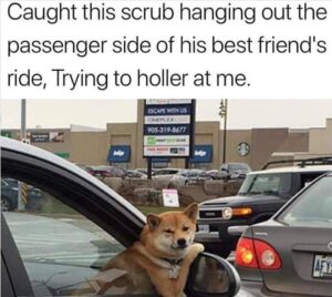 Stupid Bar Memes 4b39