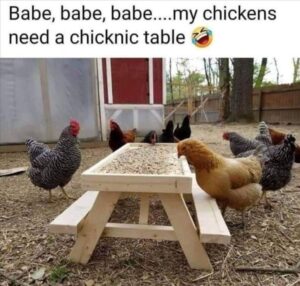 Stupid Bar Memes 4s37