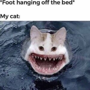 Stupid Bar Memes 51dc19f787ce655c