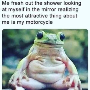 Stupid Bar Memes 526a729a93e463c4