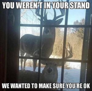 Stupid Bar Memes 53402aba653b7cde