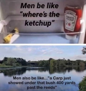 Stupid Bar Memes 54dee61f261b9cd6