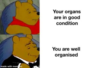 Stupid Bar Memes 566984cb11acfb1e