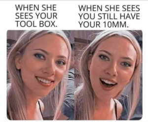 Stupid Bar Memes 5e02d4dc7b4da929
