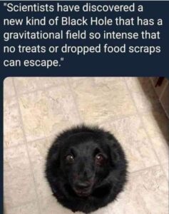 Stupid Bar Memes 5f3633eaa5575595