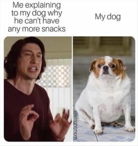 Stupid Bar Memes 5s21