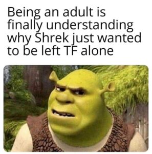 Stupid Bar Memes 6092855e534df