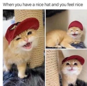 Stupid Bar Memes 6092c7c0b636c