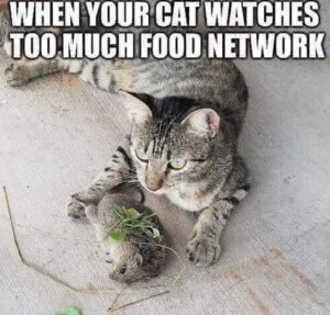 Stupid Bar Memes 6092c87f45523