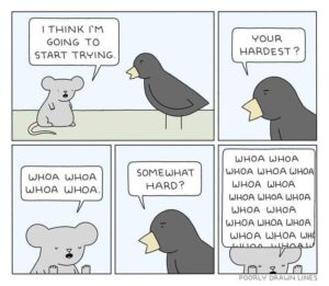 Stupid Bar Memes 6092ec51e9bea