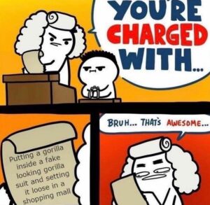Stupid Bar Memes 609416a182372