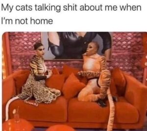 Stupid Bar Memes 6099702386642