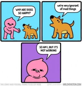 Stupid Bar Memes 609970761ef69