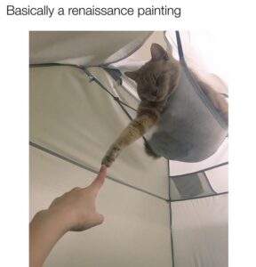 Stupid Bar Memes 60997aaf9959d