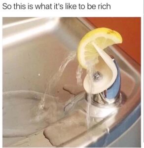 Stupid Bar Memes 6099ced07d784